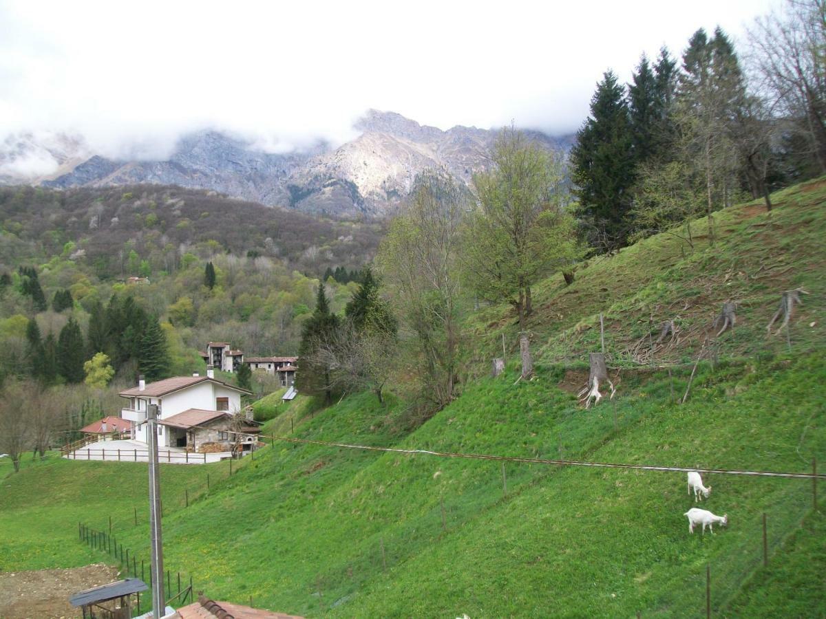 B&B In Fattoria Frisanco Esterno foto